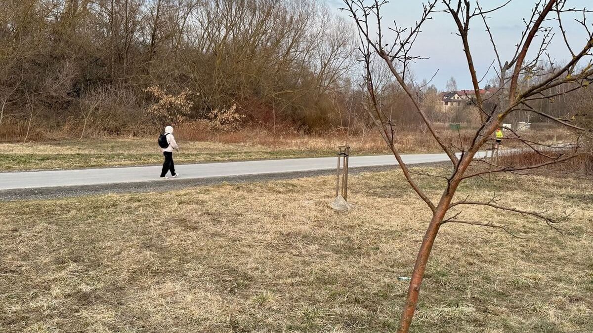 Przy ul. Wądolnej powstanie boisko do plażówki i miejsce na ognisko