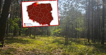 IMGW: Może dojść do tragedii. Na mapie "ekstremalne zagrożenie"