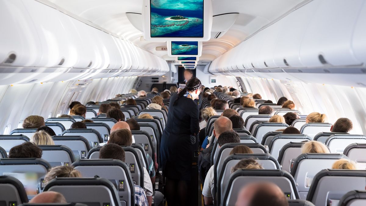 Inside view on passenger and cabin crew people on an airline airplane during flight to vacation. Transportation tourism aviation conceptairplane, cabin, crew, people, view, flight, attendant, hostess, plane, vacation, passenger, maldive, island, tropical, air, chair, seat, row, travel, transport, tourist, landing, resort, flaps, transportation, jet, aviation, window, looking, airline, fly, relaxing, service, tourism, flying, inside, business, cloudscape, holiday, journey, technology, aircraft, vehicle, jetlag, aeroplane, trip, airliner, commercial, altitude, scenic, airplane, cabin, crew, people, view, flight, attendant, hostess, plane, vacation, passenger, maldive, island, tropical, air, chair, seat, row, travel, transport, tourist, landing, resort, flaps, transportation, jet, aviation, window, looking, airline, fly, relaxing, service, tourism, flying, inside, business, cloudscape, holiday, journey, technology, aircraft, vehicle, jetlag, aeroplane, trip, airliner, commercial, altitude, scenic