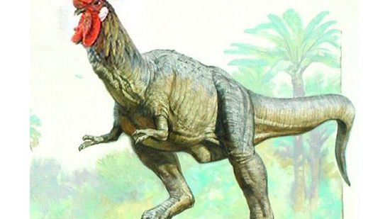 Uczeni zamienią kurczaki w dinozaury [wideo] 1