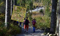 TPN apeluje do turystów. Pokazali nagranie jadowitego węża