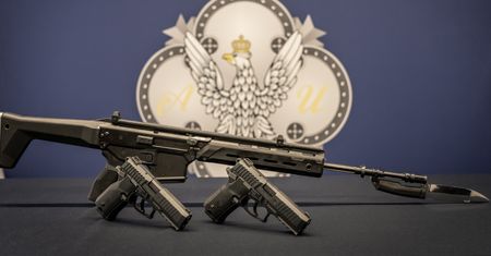 Wojsko Polskie się zbroi. Nowe zamówienie na pistolety VIS 100 i karabinki Grot