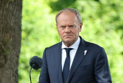 Donald Tusk w Holandii. Padł apel