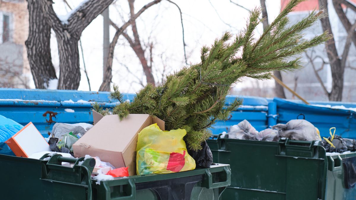 Gdzie wyrzucić choinkę po świętach?