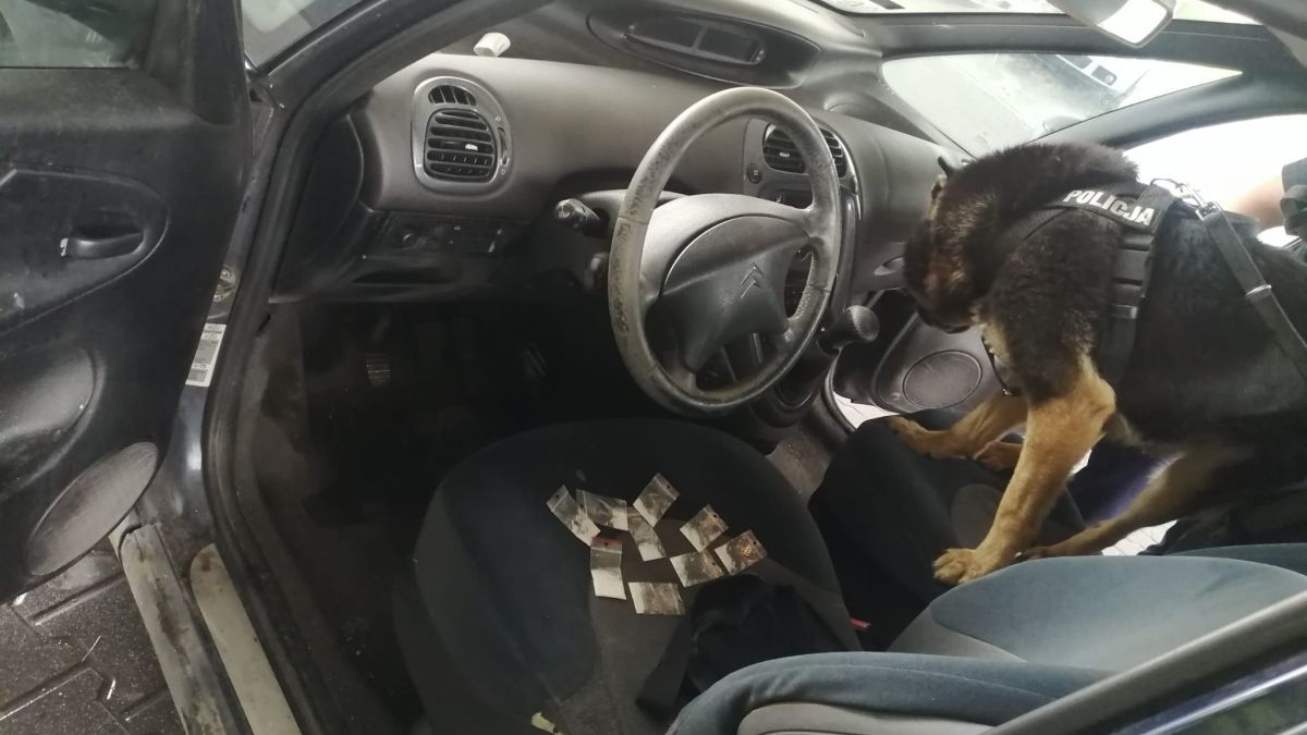 Pies tropiący pomógł znaleźć narkotyki w pojeździe
