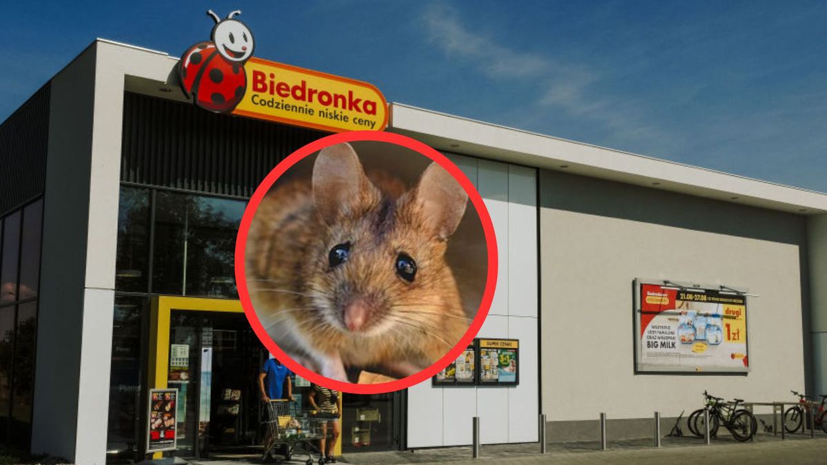 Mysz na drożdżówce w Biedronce