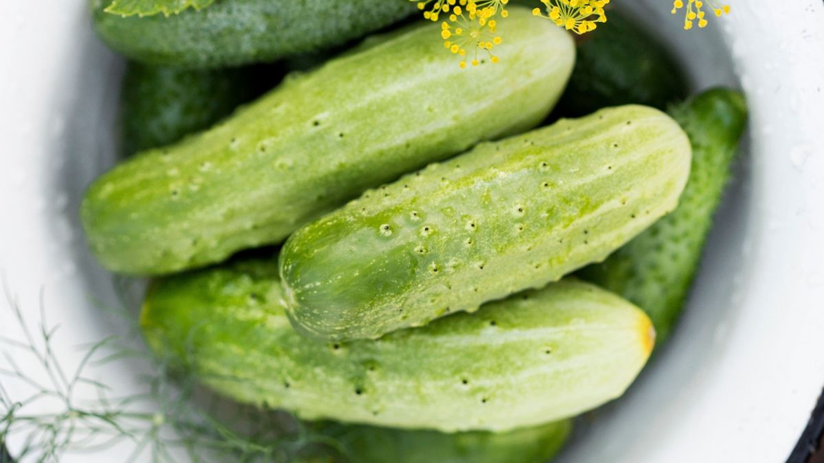Jak przechowywać ogórki?