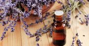 Zdrowotne i kosmetyczne właściwości olejku lawendowego. Zobacz, w jaki sposób korzystać z olejku