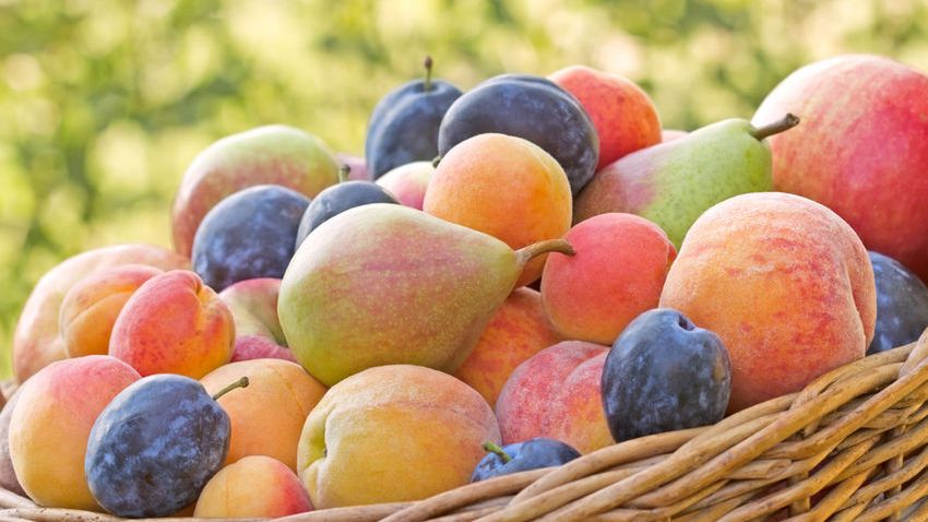 Jedzenie owoców i warzyw wpływa na odporność 