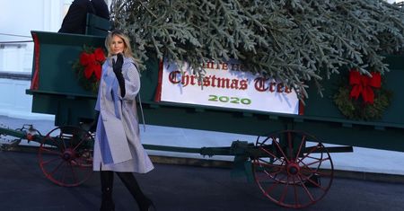 Melania Trump przyjęła świąteczną choinkę. "Kogo obchodzą święta?"