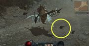 Podążaj za szczurem. Gracze Diablo 4 twierdzą, że to one przynoszą loot
