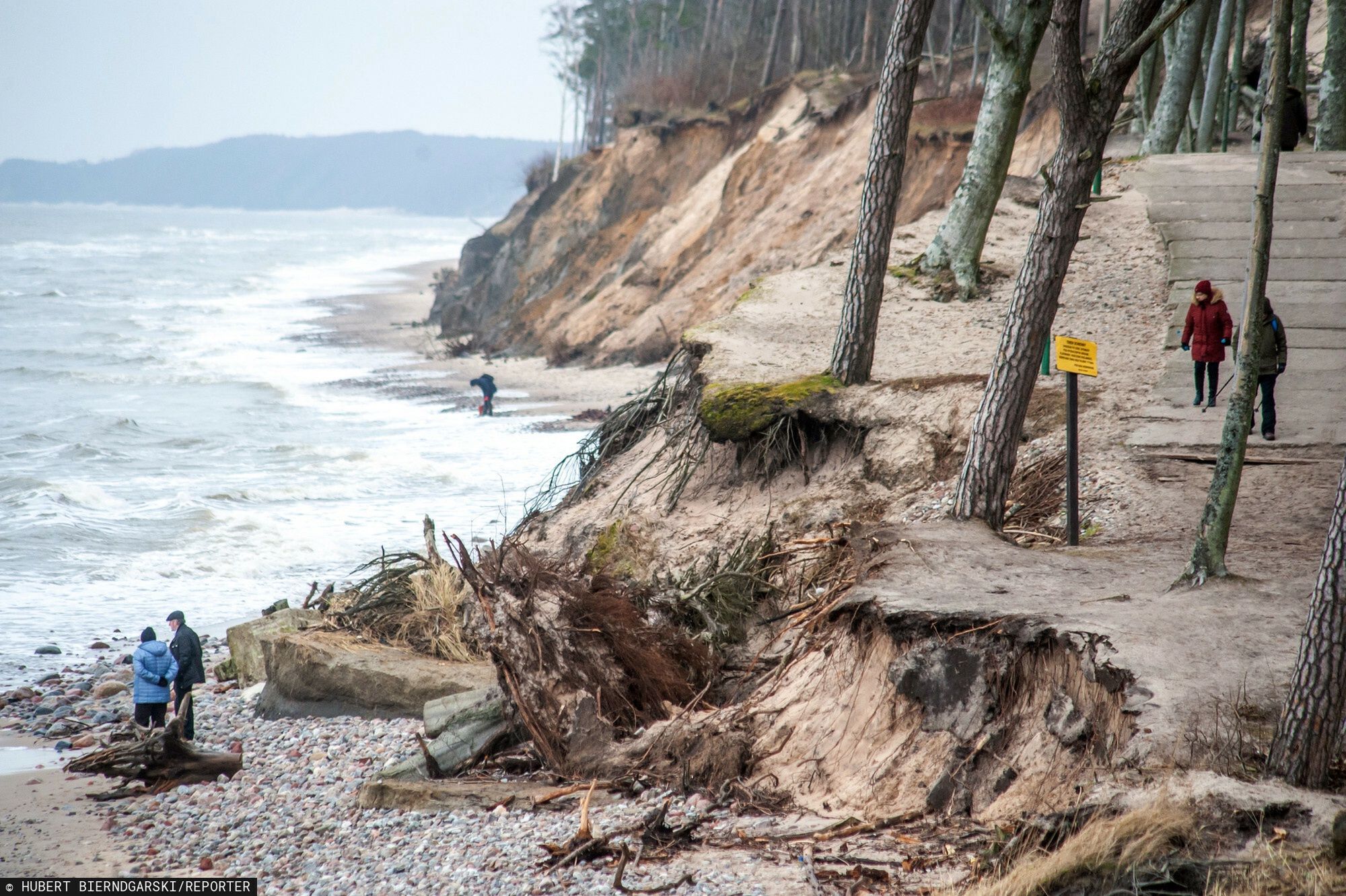 Bałtyk podmył klif w Orzechowie. "Bardzo duże straty" 