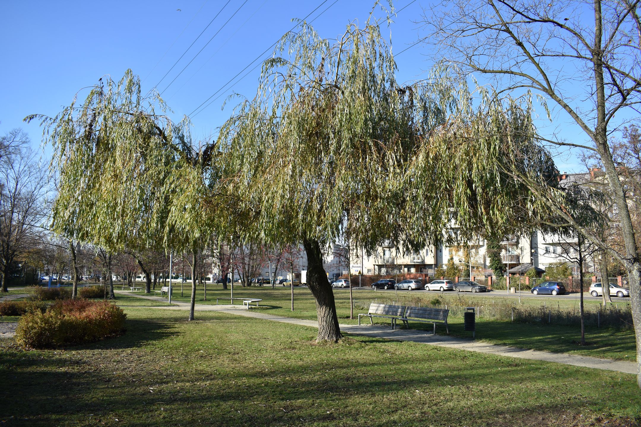 Nikon D3400 - test lustrzanki dla każdego 41