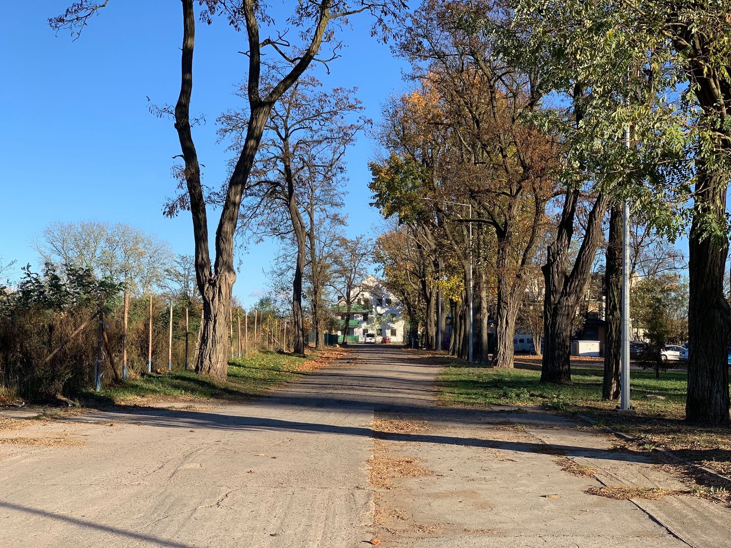 iPhone XS Max, czyli więcej tego samego, ale drożej [TEST] 42