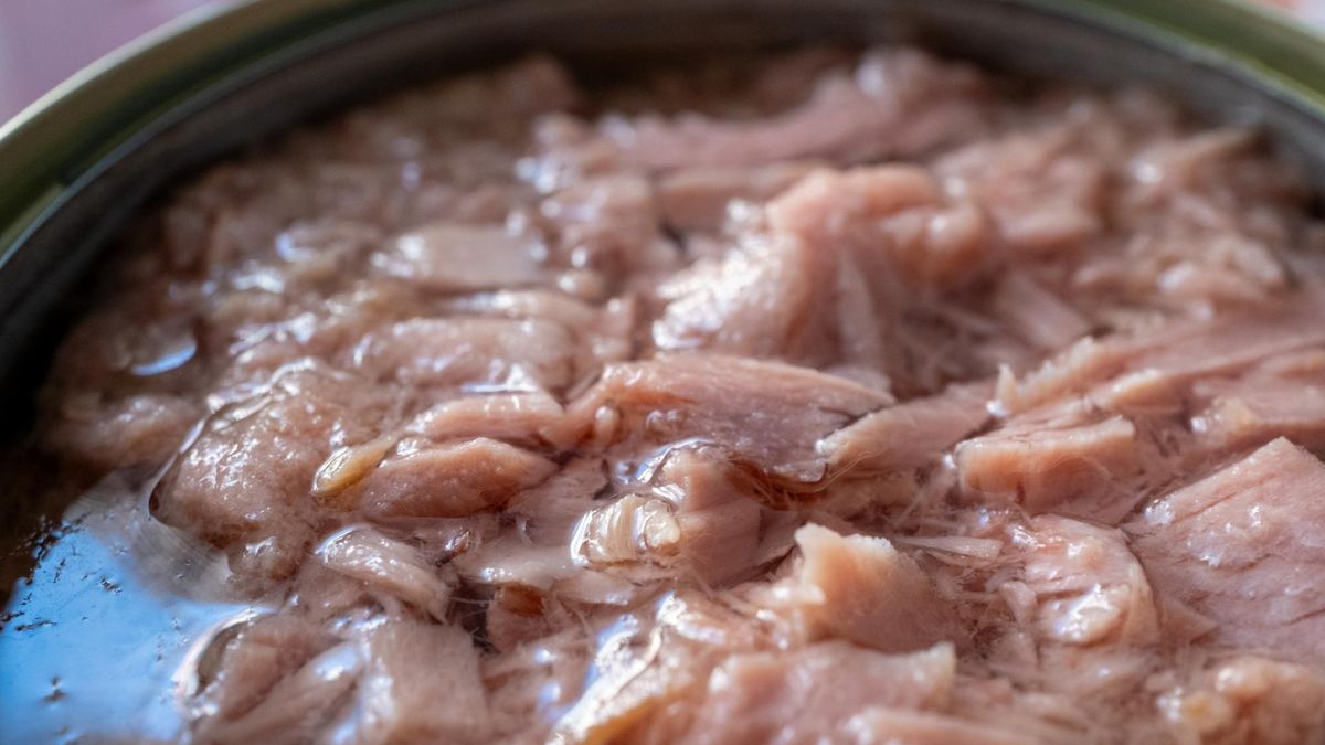 Tuńczyk, łosoś i awokado należą do produktów bardzo zasobnych w witaminę B3.