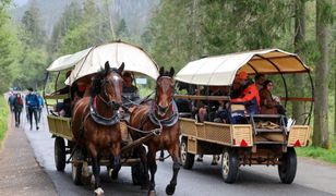 Morskie Oko. Spóźnili się na transport konny. Zadzwonili po TOPR