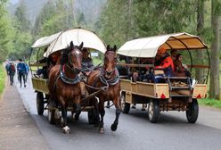 Morskie Oko. Spóźnili się na transport konny. Zadzwonili po TOPR