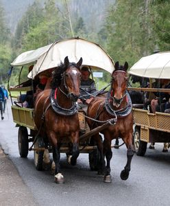 Morskie Oko. Spóźnili się na transport konny. Zadzwonili po TOPR