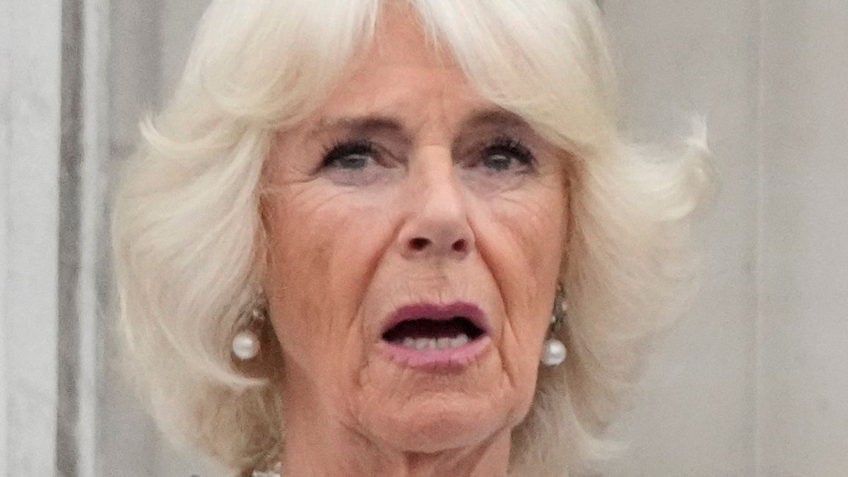 Samolot królowej Camilli zderzył się w locie z ptakiem