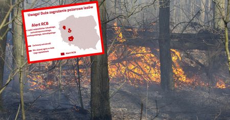 Zagrożenie pożarowe w lasach. RCB wysłało alert