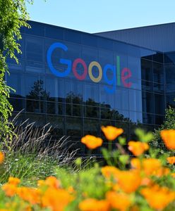 Google запустив безплатний курс з кібербезпеки для українців