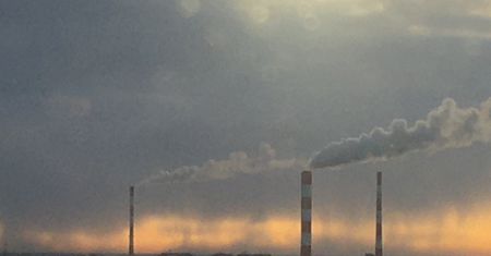 Warszawa. Dziki szał przyrody. Konkurs dla łowców zmian klimatycznych