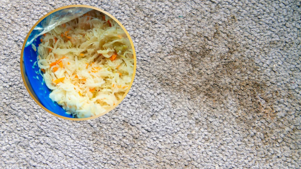 Czyszczenie dywanu kapustą.