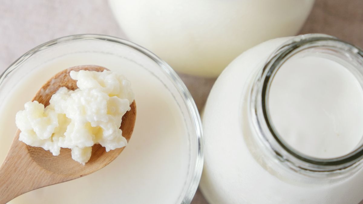 Kefir powstaje dzięki ziarnom kefirowym