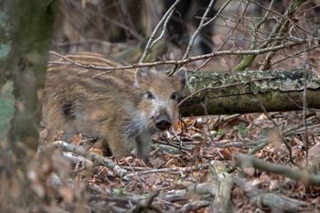 Największy błąd. "Apelujemy o rozsądek i odpowiedzialność!"