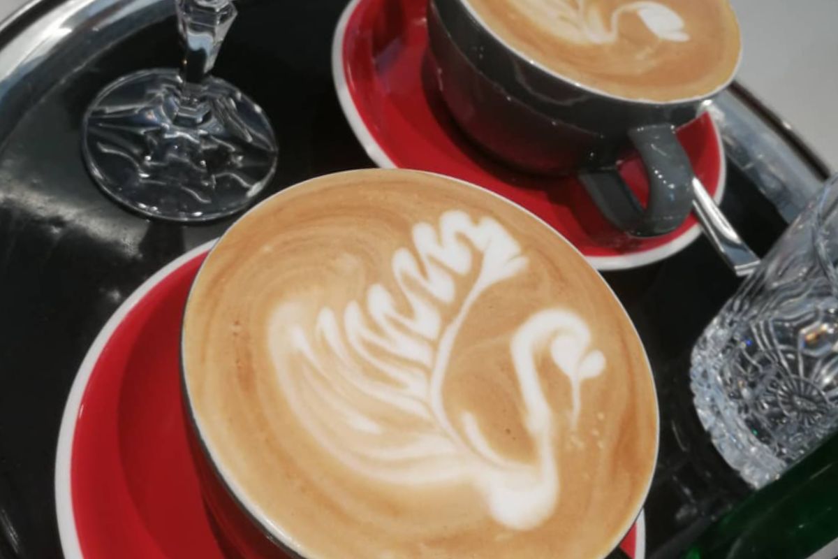 Łabędzie na kawie, czyli latte art