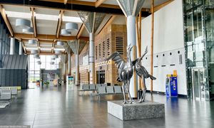 Miliony na demontaż wysłużonych maszyn. Duża inwestycja na Mazurach