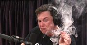 "Elon przestań tweetować!". Posiadacze kryptowalut mają dość jego wybryków