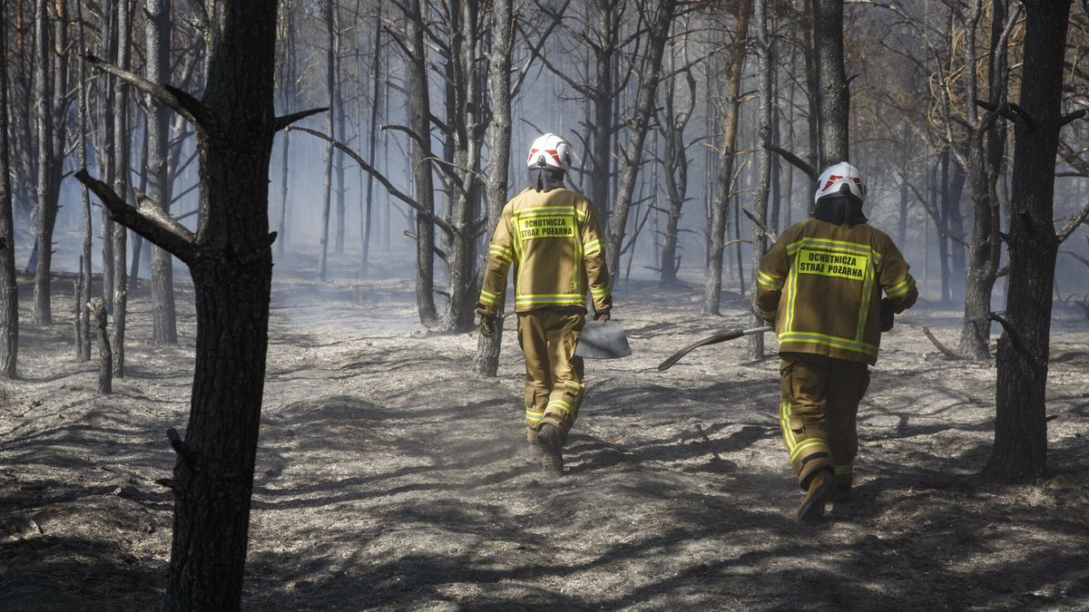 Po?ar lasu pod Cydzynem
27.08.2022 Powiat lomzynski okolice Budy Mikolajka kolo Cydzyna , pozar lasu spalilo sie 2,2 ha. W lasach sucho, a temperatura przewyzsza 30 stopni celesjusza   fot Marek Maliszewski/REPORTER
Marek Maliszewski/REPORTER