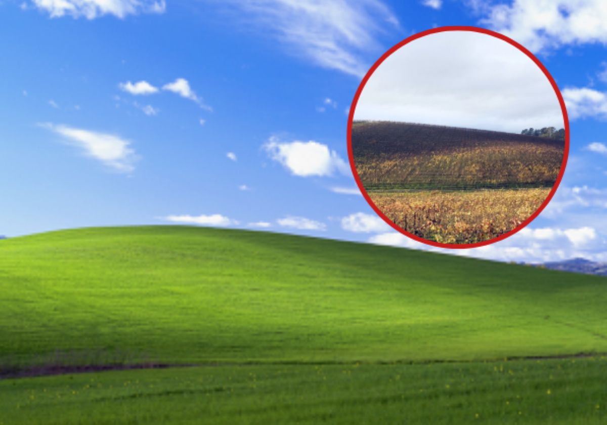 Tak teraz wygląda miejsce z kultowego tła Windows XP