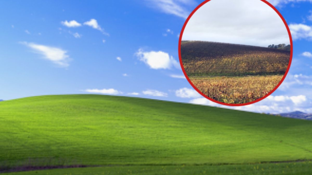 Tak teraz wygląda miejsce z kultowego tła Windows XP