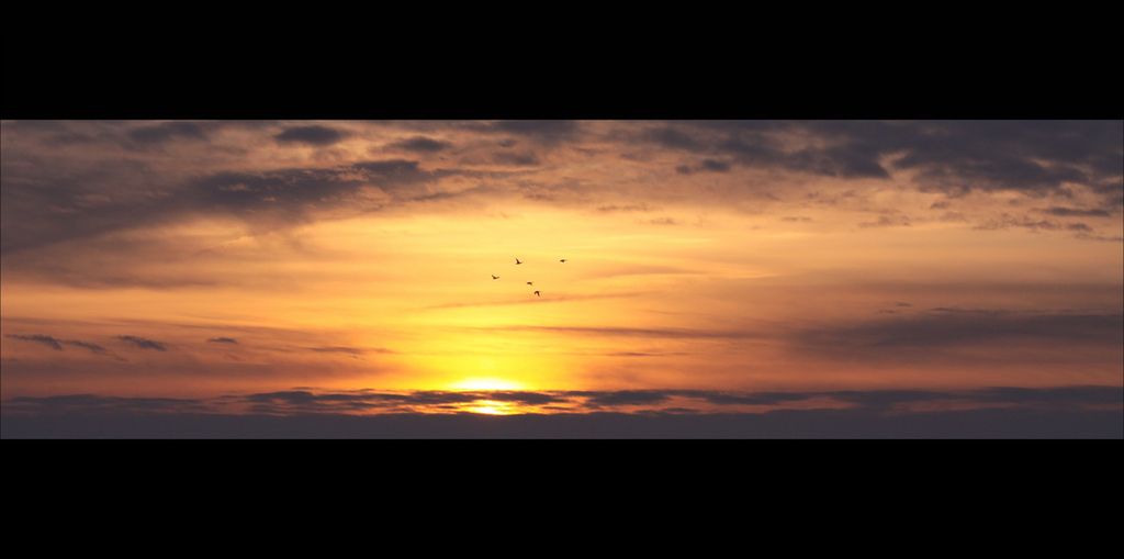 Monitor ultrapanoramiczny – dlaczego proporcje 21:9 są epickie i Kowalski (ze)chce je mieć? 3