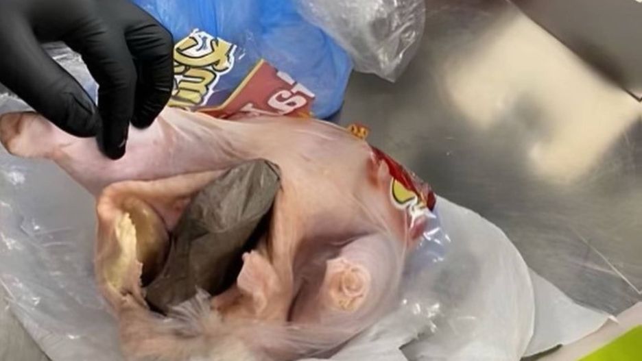 Broń znaleziona w surowym kurczaku na lotnisku na Florydzie