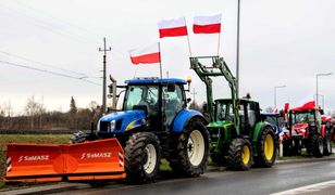 Rolnicy zablokują granicę ze Słowacją. "Zdychające kurczaki, które pewnie już zjedliśmy"