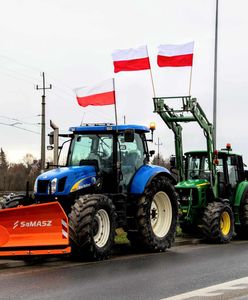 Rolnicy zablokują granicę ze Słowacją. "Zdychające kurczaki, które pewnie już zjedliśmy"