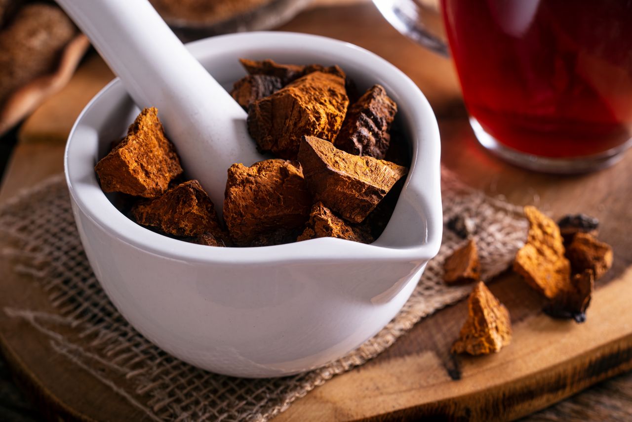 Chaga is a mushroom that has many health benefits.