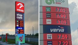 Duże różnice cen paliw na stacjach. Nawet do 50 gr na litrze