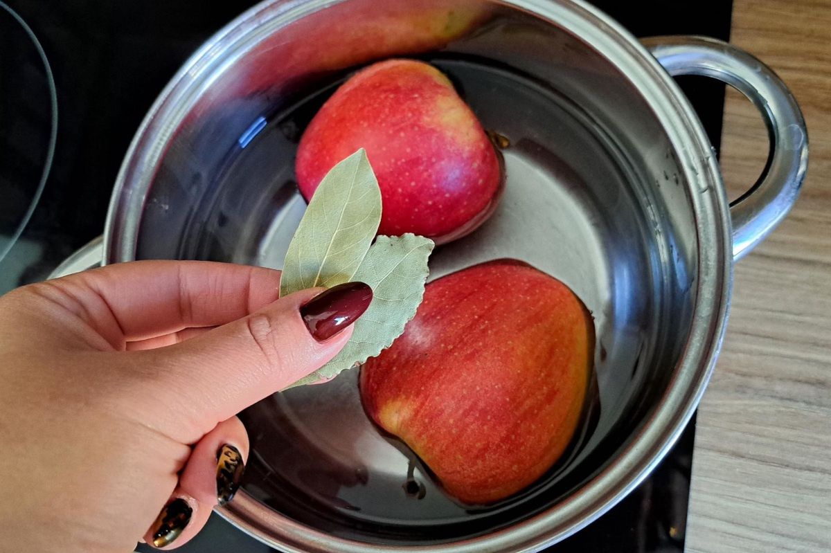 Bay leaves with apples