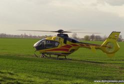 Śmigłowiec LPR uziemiony przez gołębia. Akcja nie przebiegła po myśli