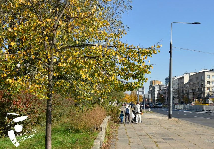 Warszawa. Praga-Południe. Jak zmienić ulicę Grochowską, by stała się komfortowym miejscem dla mieszkańców. Konsultacje społeczne w tej sprawie potrwają do 4 października (Urząd Miasta st. Warszawy)