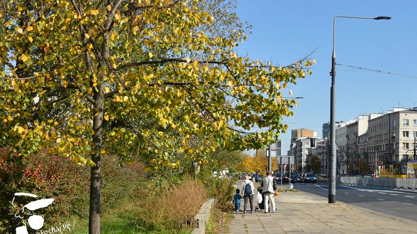 Warszawa. Praga-Południe. Jak zmienić ulicę Grochowską, by stała się komfortowym miejscem dla mieszkańców. Konsultacje społeczne w tej sprawie potrwają do 4 października (Urząd Miasta st. Warszawy)