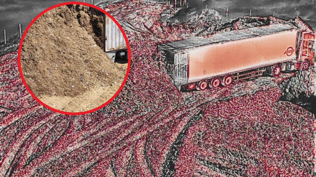 Przyłapani na gorącym uczynku