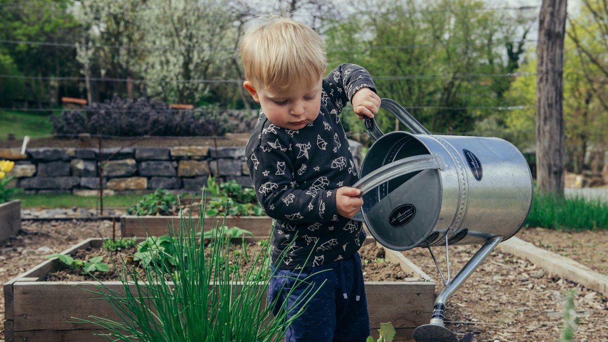 Podstawowe narzędzia ogrodowe. Cała reszta to tylko opcja
