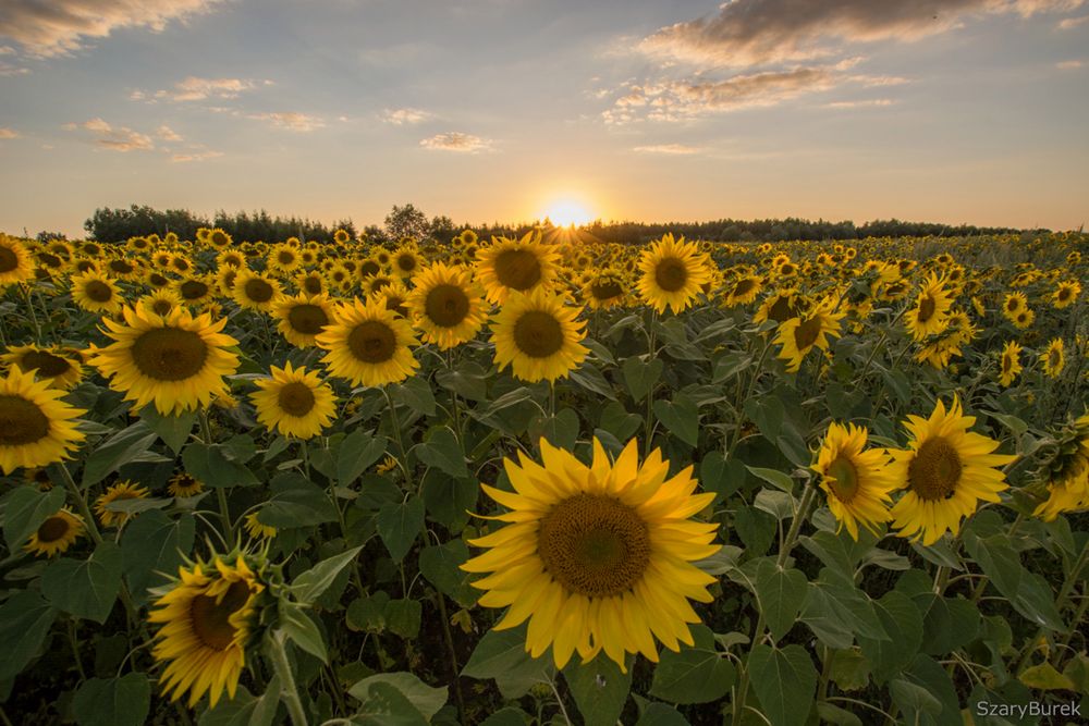 Rzuciłem wszystko i pojechałem w Bieszczady. Taką fotograficzną podróż polecam każdemu 13