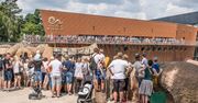 Burza w sieci. Prawie 5 tys. zł na rękę, ale trzeba się "pobrudzić i napocić"
