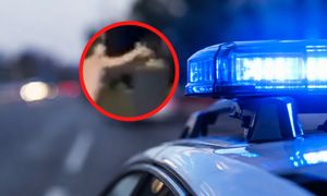 Atak 22-latki na strażnika. Kobieta wyszła ze szpitala